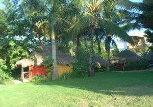 Apart Hotel Ali s Surfcamp Tropical Garden